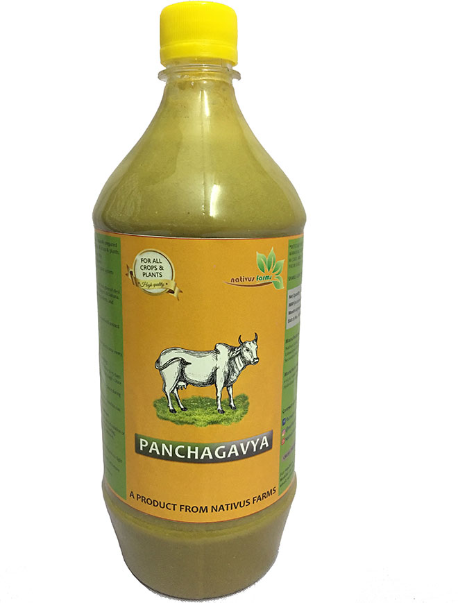 Nativus_Farms_Panchagavya_2