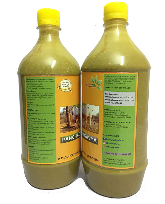 Panchagavya Liquid Fertilizer