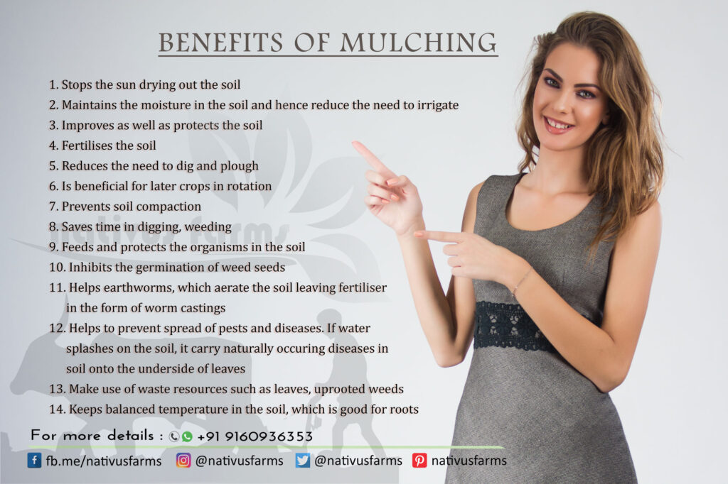 Benefits of Mulching