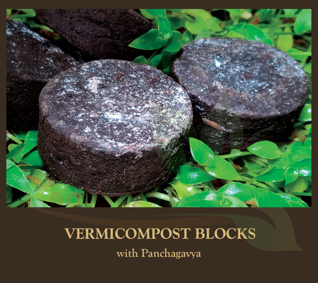 Vermicompost Blocks