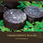 Vermicompost-Blocks